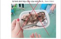 Diễn biến mới nhất vụ “hộp cơm thịt chuột” ở Quảng Nam