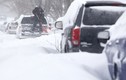Nước Mỹ chìm trong bão tuyết lịch sử