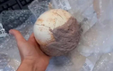 Phát hiện trứng khủng long 159 triệu năm tuổi trong gói hàng quốc tế