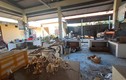 Hải Phòng: Xót xa chợ nông thôn mới tiền tỷ bị bỏ hoang 