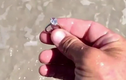 Choáng váng vì nhặt được nhẫn kim cương gần 1 tỉ trên bãi biển