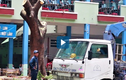 Video: Chặt cây phượng còn lại trong tai nạn khiến học sinh tử vong