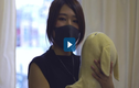 Video: Kỳ lạ phòng khám cho thú nhồi bông ở Nhật Bản