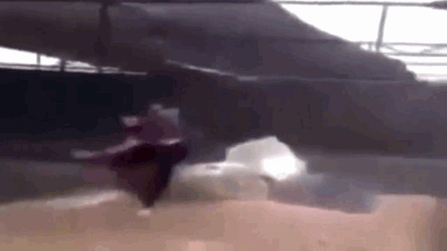 Video: Hổ dữ nổi điên, lao tới tấn công rồi cắn nát chân người đàn ông