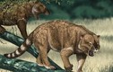 Những loài thú có túi to lớn nhất từng được con người phát hiện