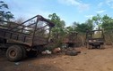 Thông tin bất ngờ vụ bắt trùm gỗ lậu Phượng "râu" ở Đắk Lắk