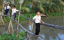 2 cha con suýt mất mạng vì ngã “cầu khỉ” ở Sài Gòn