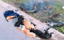 Dân vây đánh, đốt cháy xe máy của 2 kẻ trộm chó