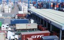 Chuyện khó tin ở cảng lớn nhất miền Nam: 534 container vô thừa nhận