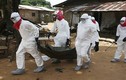 Cảnh báo Ebola đột biến và lây nhiễm kinh khủng hơn
