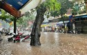 Hà Nội sẽ có 11 khu vực “mênh mông nước” nếu mưa cường độ lớn