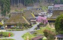 “Hớp hồn” ngôi làng mái tranh đẹp như tranh vẽ ở Nhật