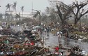 Mỗi năm Philippines hứng chịu bao nhiêu cơn bão?