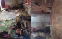 Thanh Hóa: 9 người thoát chết trong vụ nổ mìn tại nhà dân