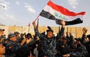 Loạt hình khó quên trong chiến dịch giải phóng thành phố Mosul