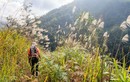 Phượt thủ Việt tiết lộ những pha thót tim khi leo núi