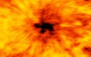 Phát hiện vệt đen khổng lồ hình con rùa trên Mặt trời 