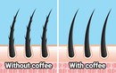 Biết được tác dụng của cà phê với tóc, nhiều người thở dài tiếc nuối