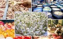 Điểm danh thực phẩm ngậm hóa chất đầu độc người Việt