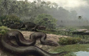 Một cơn “sốt cao” cách đây 55 triệu năm đã tạo ra loài rắn lớn nhất 