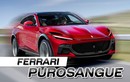 Có phải Ferrari tung chiêu bài khan hàng cho siêu SUV Purosangue?