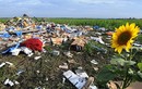 Thảm kịch hàng không MH17 – Một năm nhìn lại