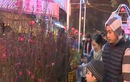 Tiết lộ thú vị về chợ hoa Xuân Hàng Lược