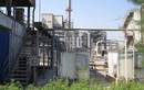 Cảnh đáng buồn tại nhà máy PVtex Đình Vũ thua lỗ 1.400 tỷ