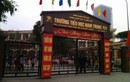 Công bố cách chức vắng mặt hiệu trưởng tiểu học Nam Trung Yên