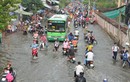 Thông tin “TP HCM biến mất năm 2050”: Triều cường, điểm đen ngập lụt ở Sài Gòn thế nào?