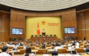 Phát ngôn “nóng” của 4 Bộ trưởng trong phiên chất vấn trước Quốc hội