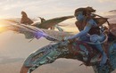 "Avatar 2" bị cáo buộc phân biệt chủng tộc