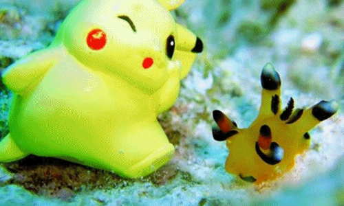 Phiên bản pikachu sên biển cực yêu gây sốt ở Nhật Bản 