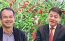 Video: Vì sao ông Trần Bá Dương đầu tư tỷ USD cho bầu Đức?