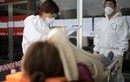 Hai nhân viên y tế Hàn Quốc nhiễm virus chết người MERS