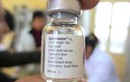 Chuyên gia WHO khẳng định vắc xin Quinvaxem an toàn