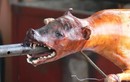 Nghe Tây kể chuyện ăn thịt chó Việt Nam: Đủ mọi cảm xúc 