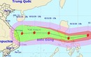 Yêu cầu các tỉnh miền Trung chủ động ứng phó siêu bão Goni