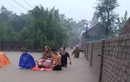 Mưa lũ Nghệ An: 700 ngôi nhà bị ngập, sạt, 1 người bị nước cuốn mất tích