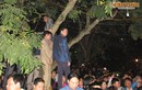 Đại biểu leo cây, trèo tường dự lễ khai ấn đền Trần