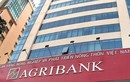 Nghi vấn công ty Tân Nam Việt được “dàn xếp” trúng loạt gói thầu tại chi nhánh Agribank?
