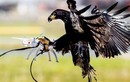 Xem Không quân Pháp dùng chiến binh đại bàng săn UAV