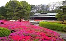 Ngắm khu vườn xanh mướt trong cung điện Hoàng gia Nhật Bản