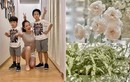 Khoảng ban công đầy hoa trong căn hộ của Đan Lê