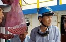 Vụ tàu vỏ thép: Nam Triệu sẽ thay 11 máy mới cho dân