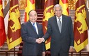 Hợp tác thương mại Việt Nam và Sri Lanka chưa tương xứng tiềm năng