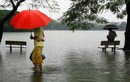 Những khoảnh khắc ngập lụt kinh điển ở Hà Nội và TP HCM