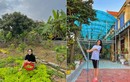 Vườn rau sạch, nhiều cây ăn quả của gia đình Hoa hậu Đỗ Thị Hà