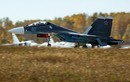 Tiêm kích Su-30SM đã tới Crimea, Ukraine chớ có giở trò
