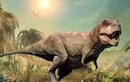 Nghiên cứu mới phát hiện sự thật bất ngờ về khủng long bạo chúa